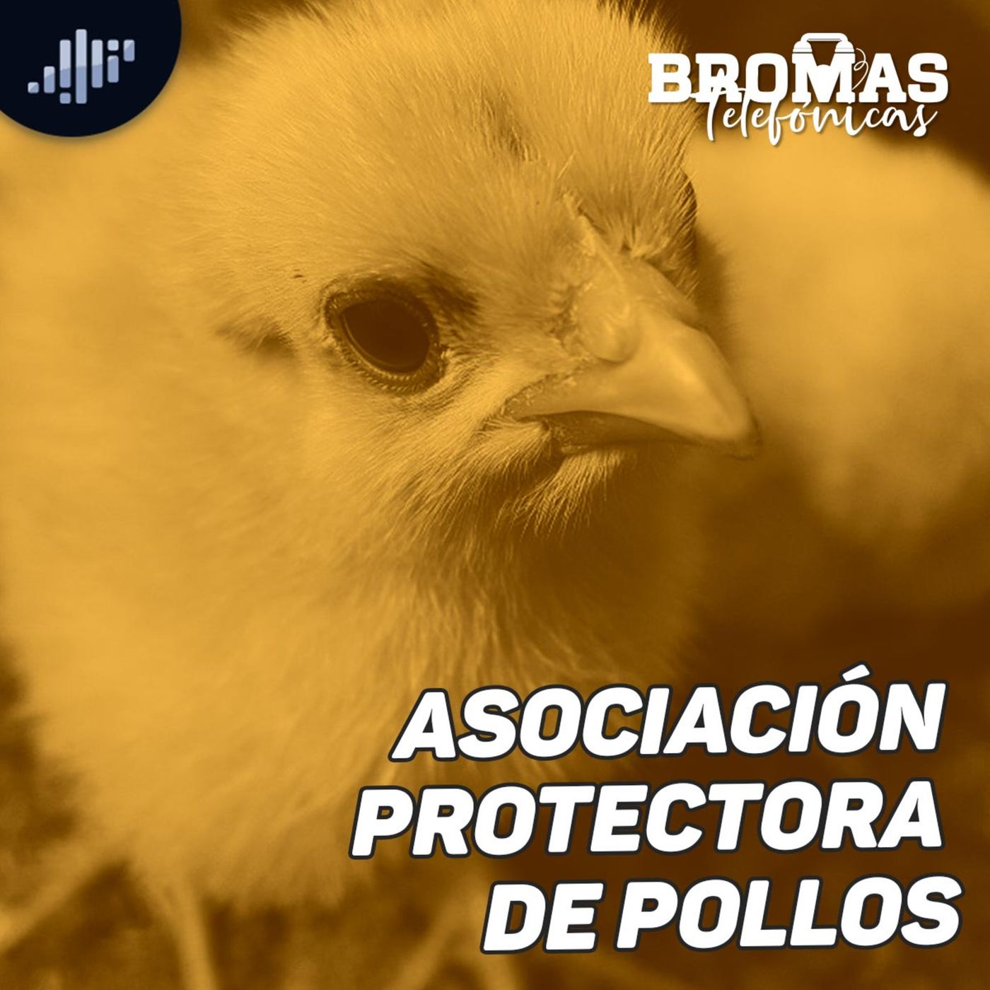 Bromas Telefónicas