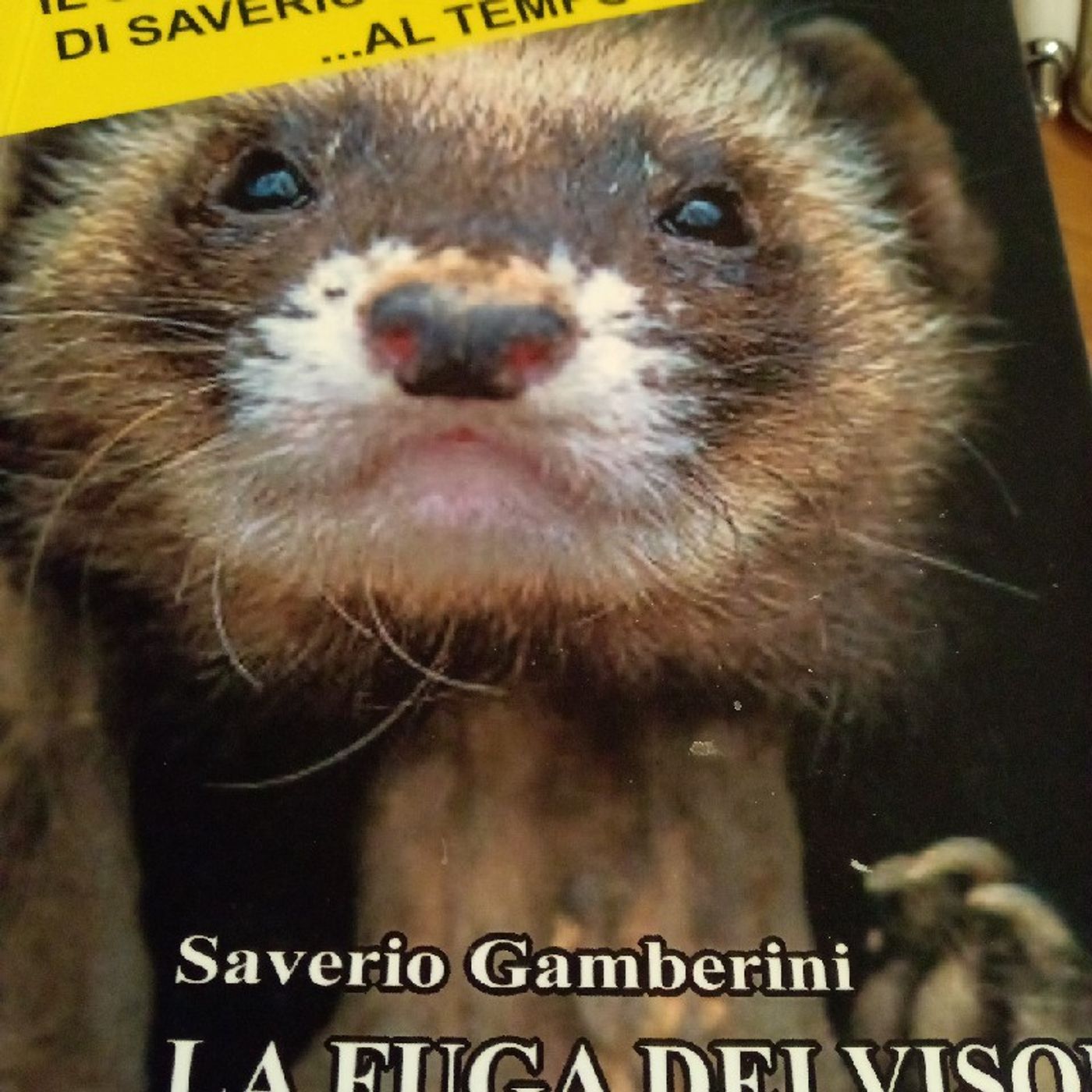 Terre delle nebbie