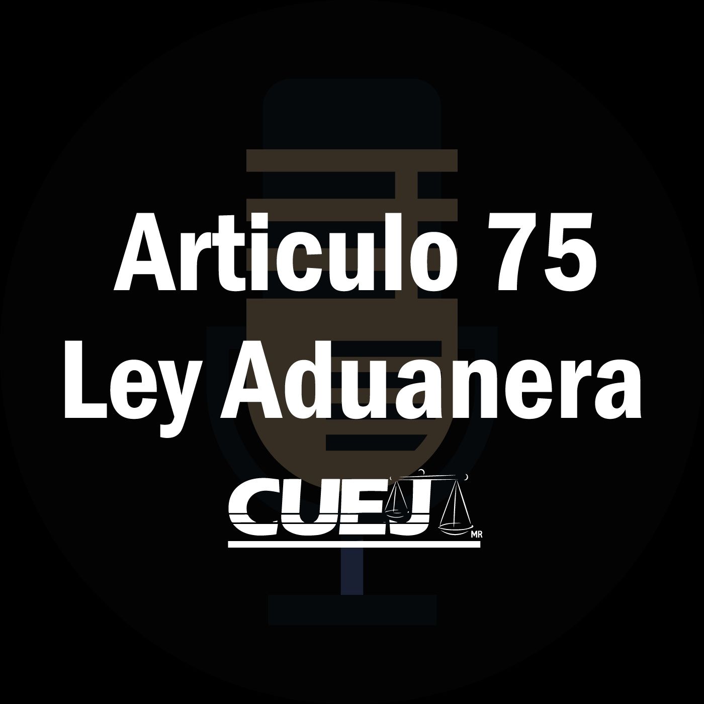 Audio Ley Aduanera