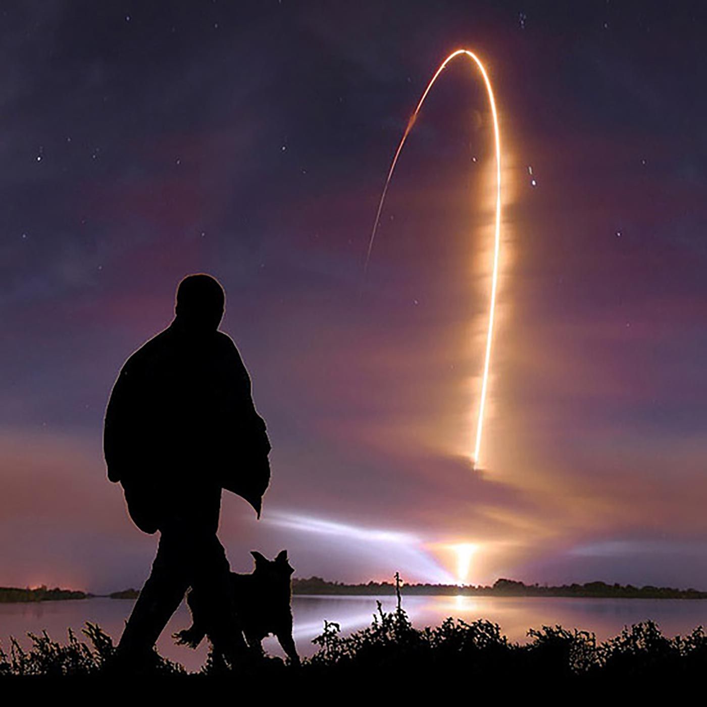 Shooting Your Pet's Remains Into Space Shooting Your Pet's Remains Into Space
