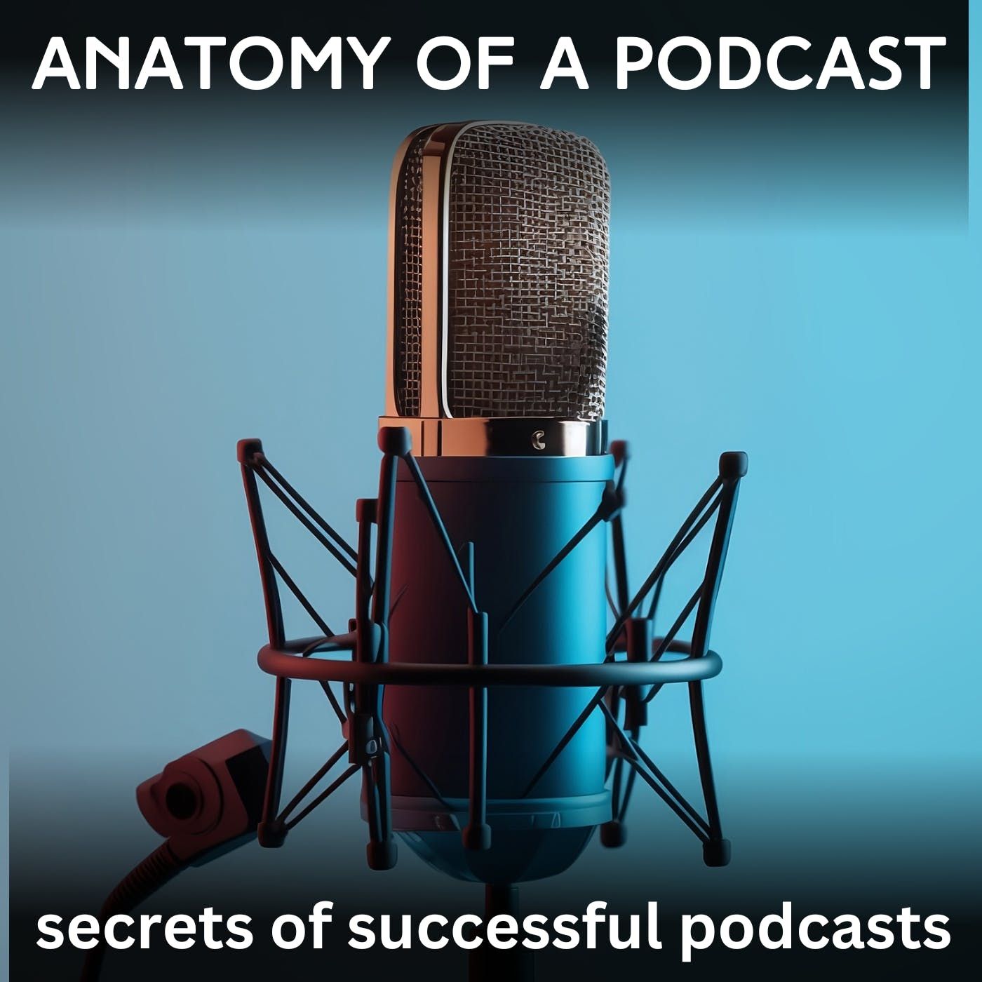 Anatomy of A Podcast