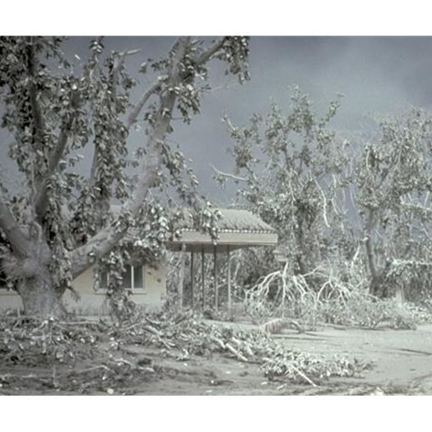 Survival Medicine Hour: Mosquitos, Plague, AJ Powers of "As The Ash Fell"