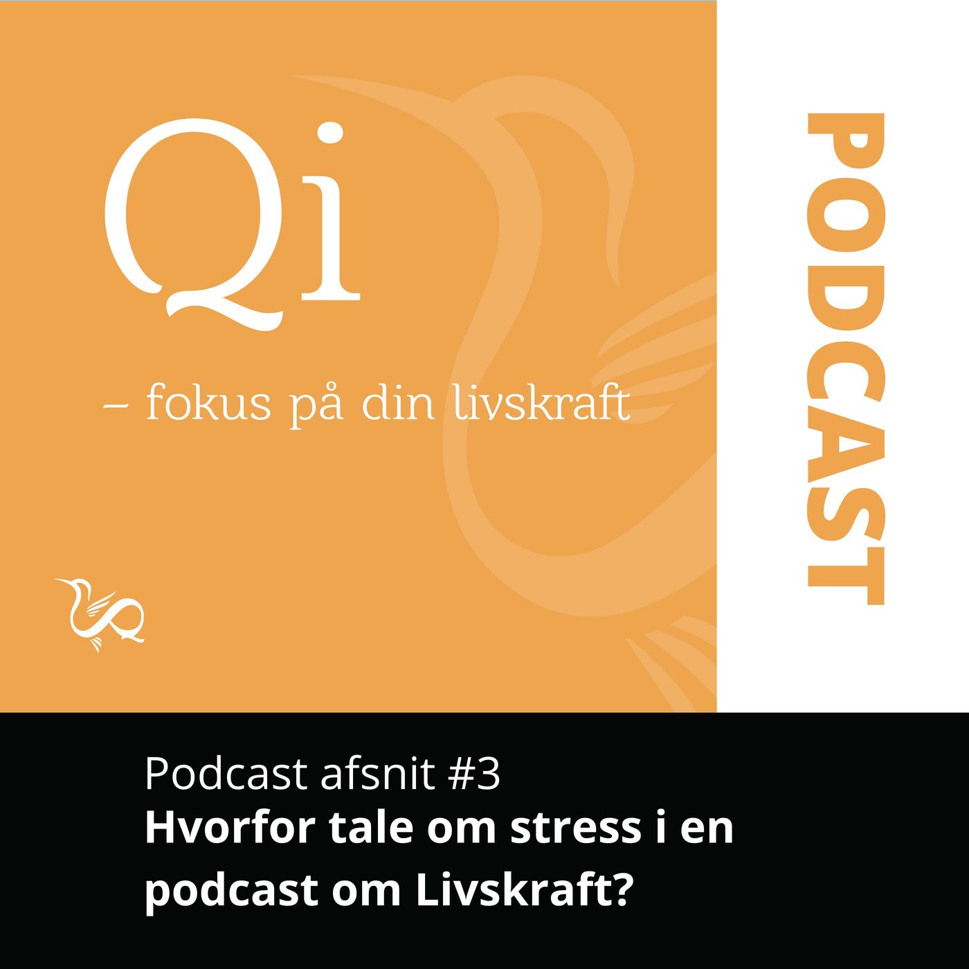 Qi - Fokus på din Livskraft