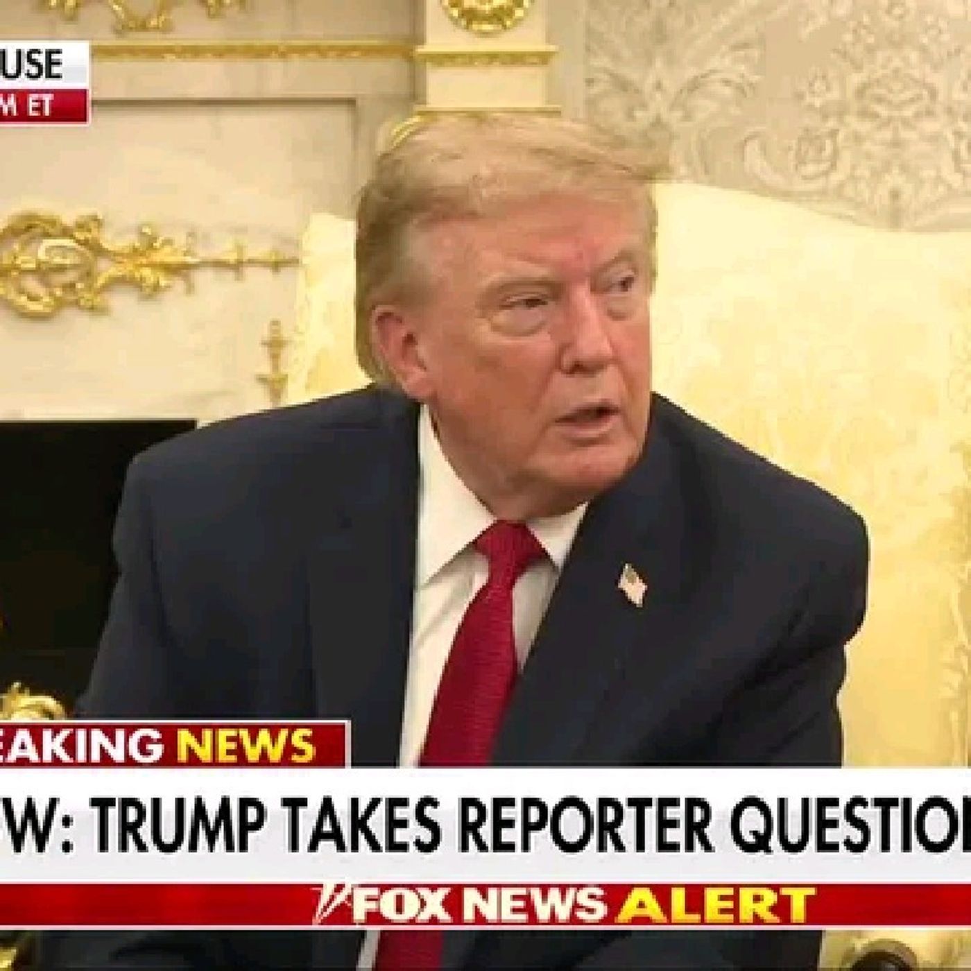 “You're a loud, boisterous person." "You're a fake reporter and you report fake news" President Trump shuts down a CNN reporter during a ten episode artwork