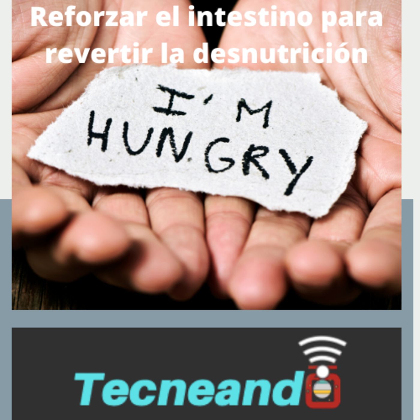 Tecneando