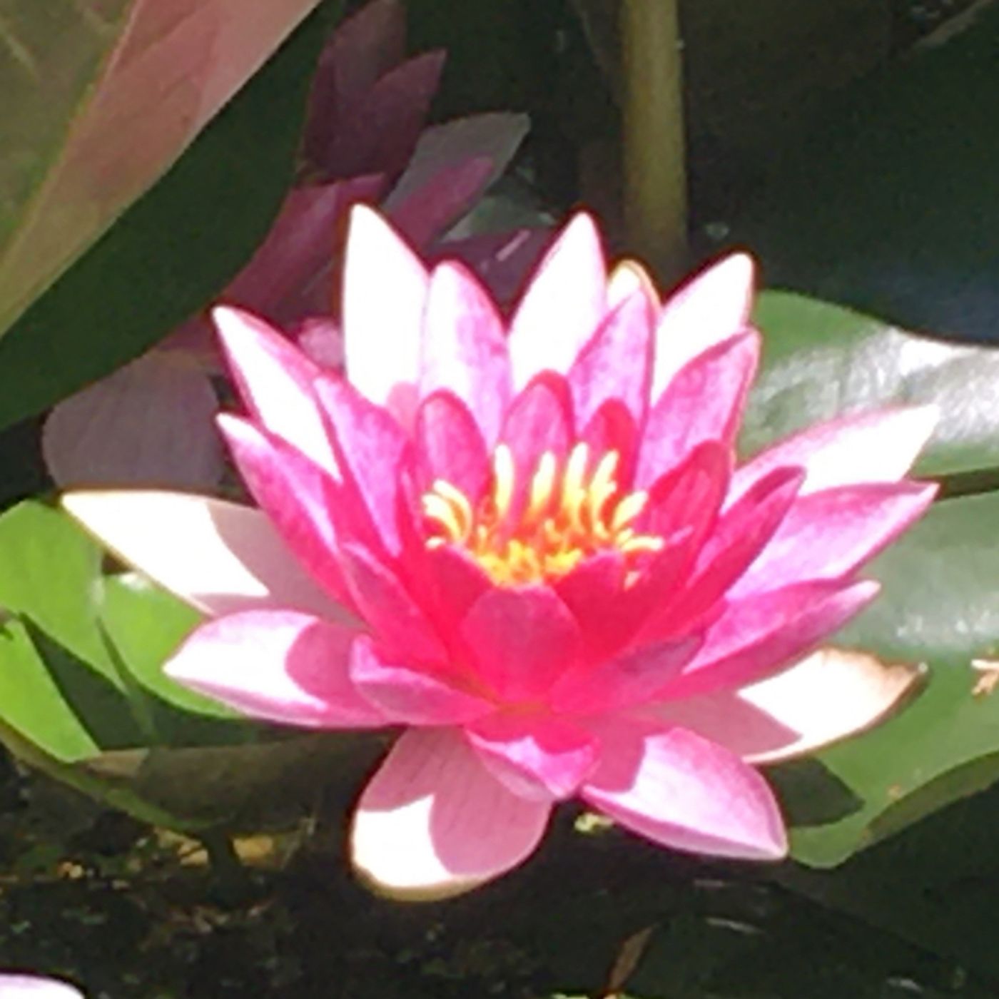 Freebie guidede øvelser og meditationer af Rikke Benn