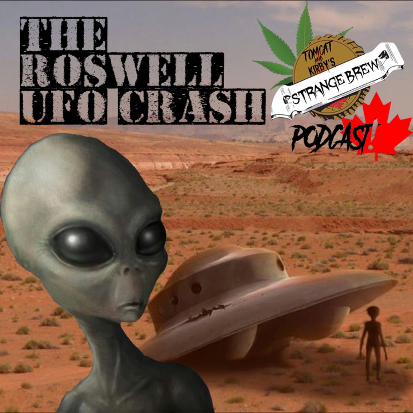 The Roswell UFO Crash!
