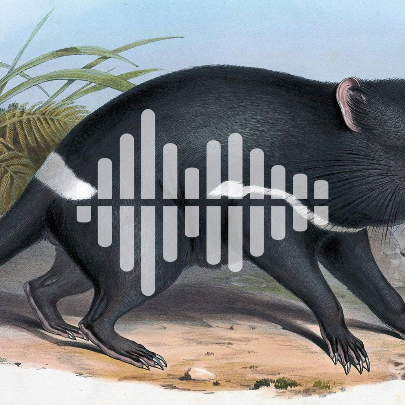 Science Time Podcast