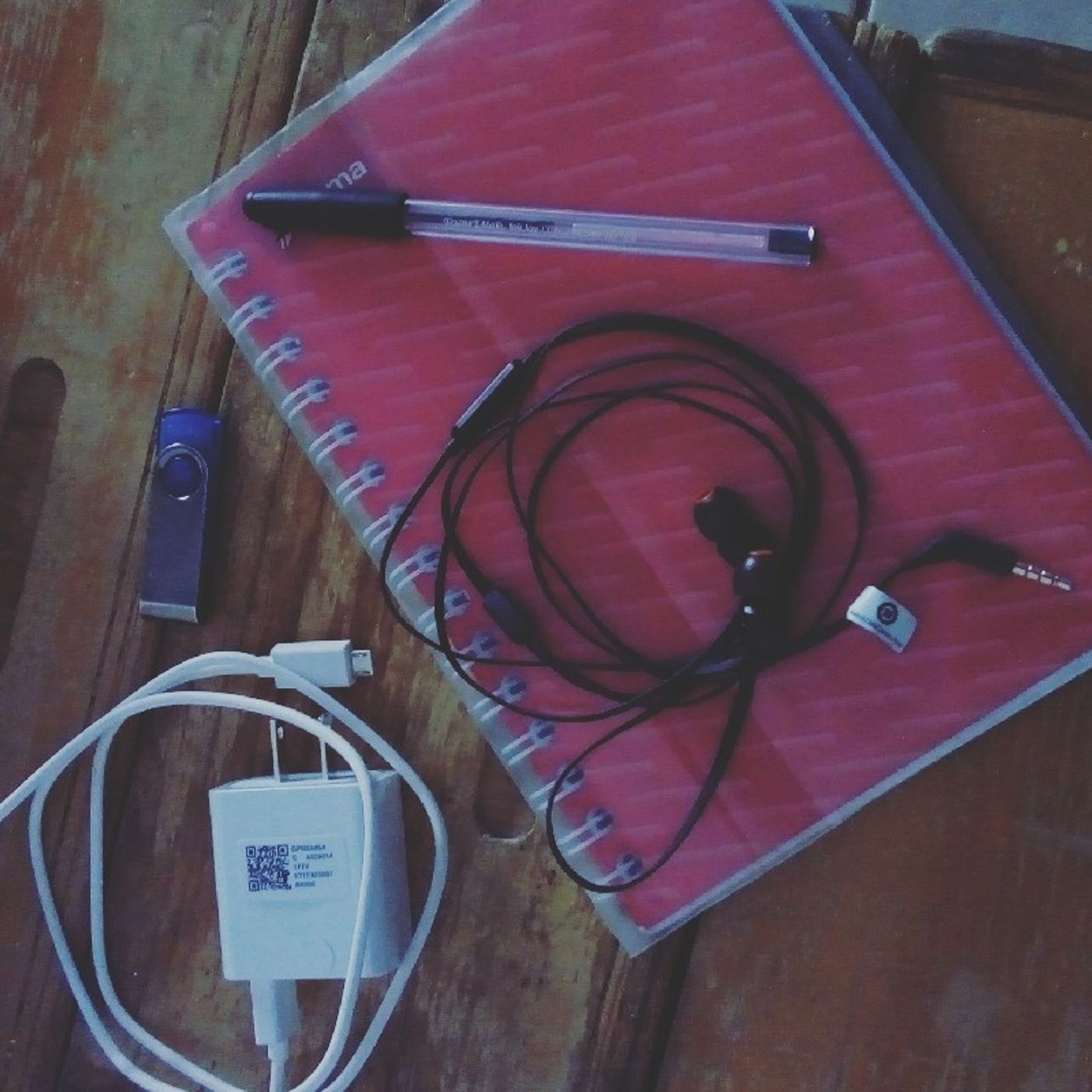 De "Nini" a "Emprendedor"