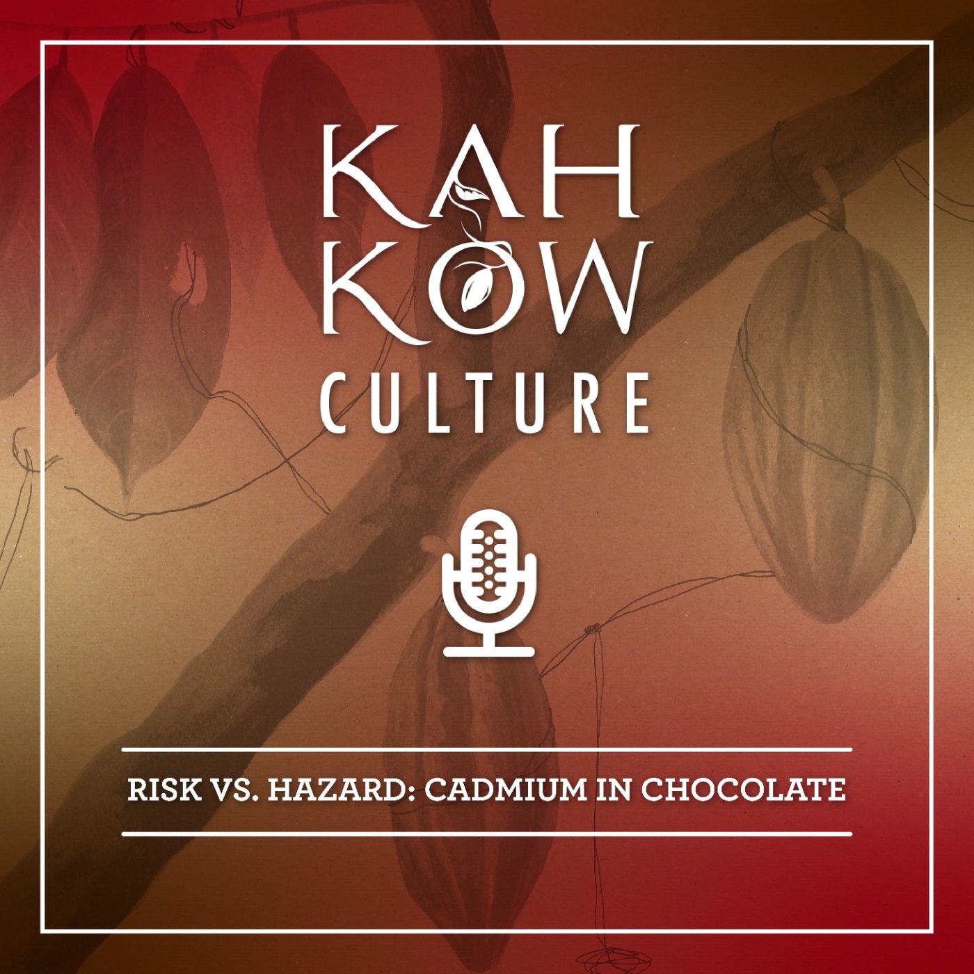 Risk vs. Hazard, cadmium in chocolate