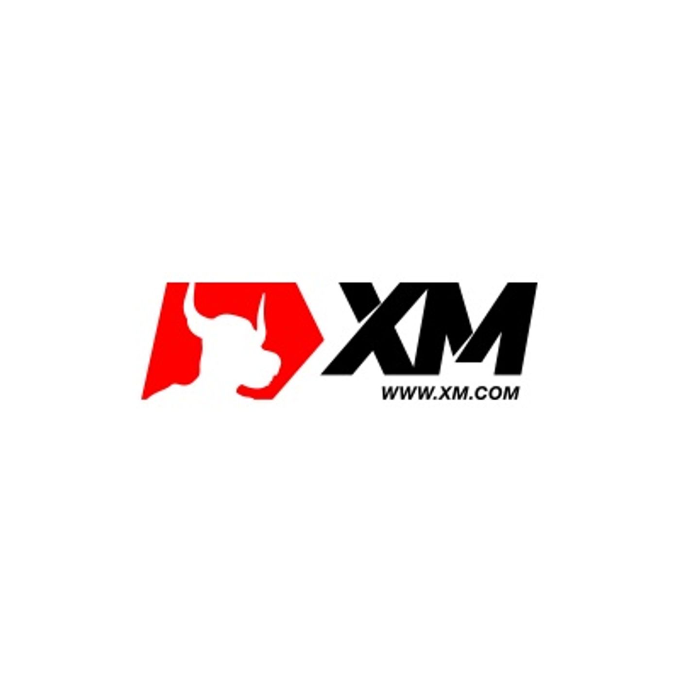 El show de BrokersForex10