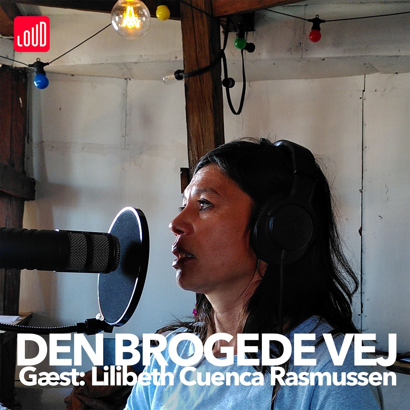 Den Brogede Vej