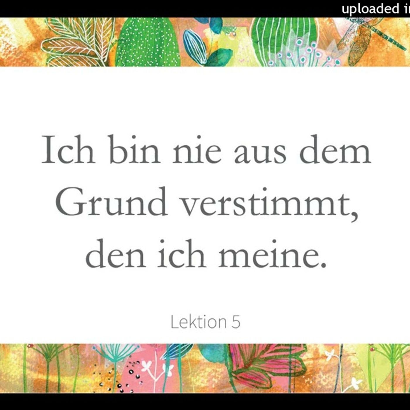 Simone Fugger