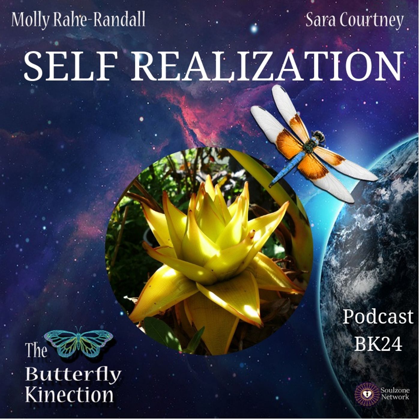 The Butterfly Kinection
