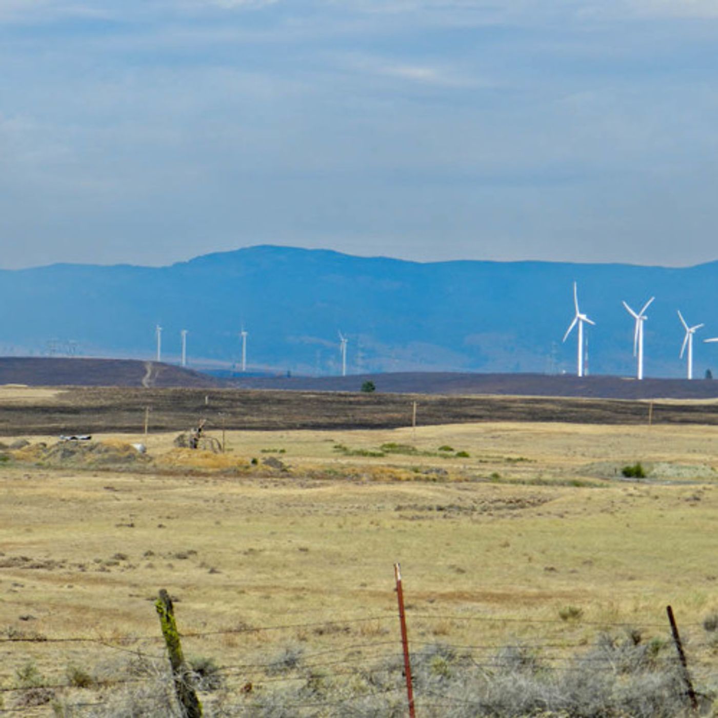Wind Turbines Undamaged by Central WA Fire episode artwork