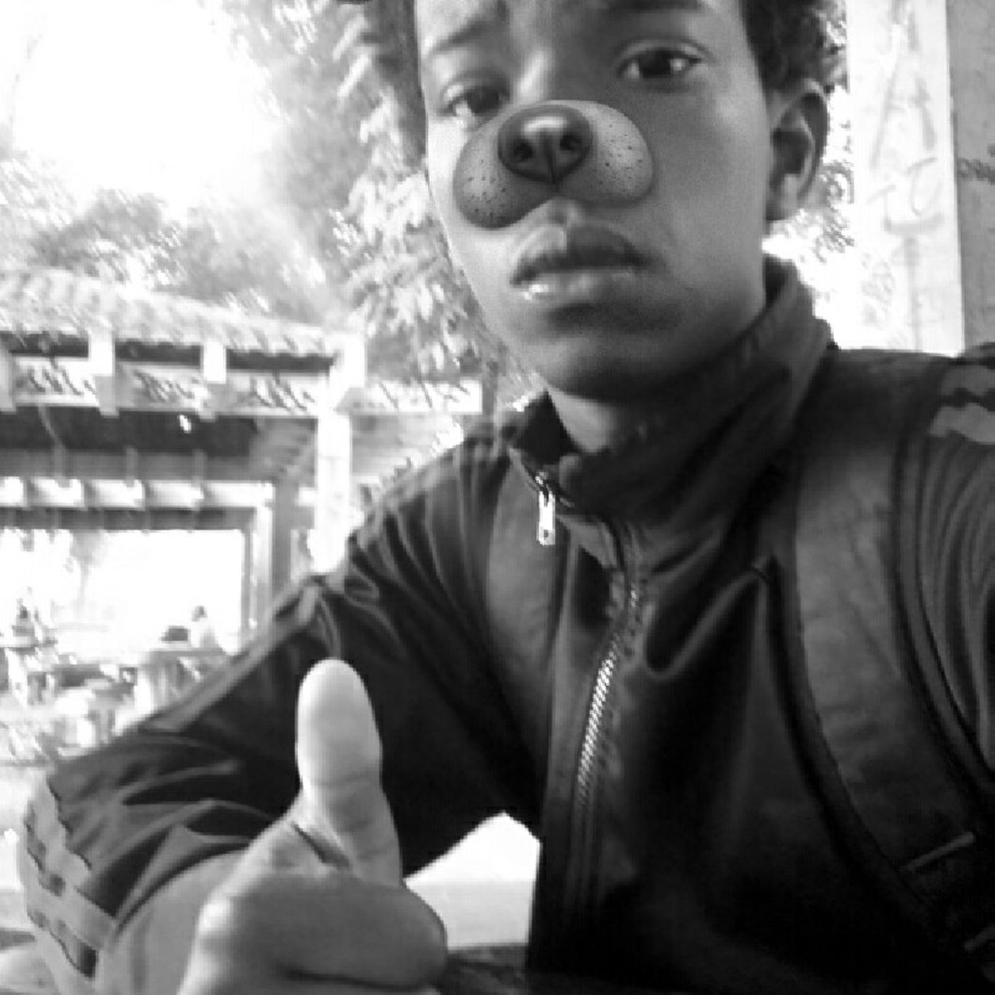Adriano Safa\'s show