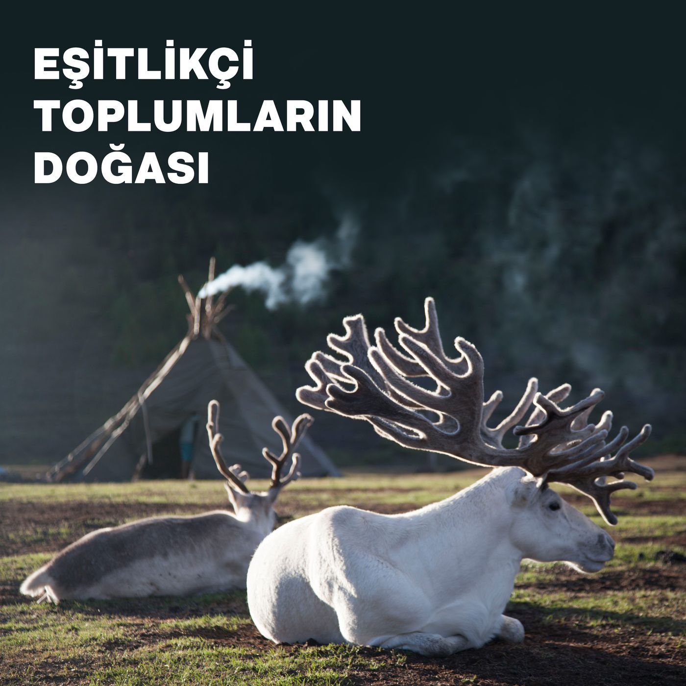 Eşitlikçi Toplumların Doğası episode artwork