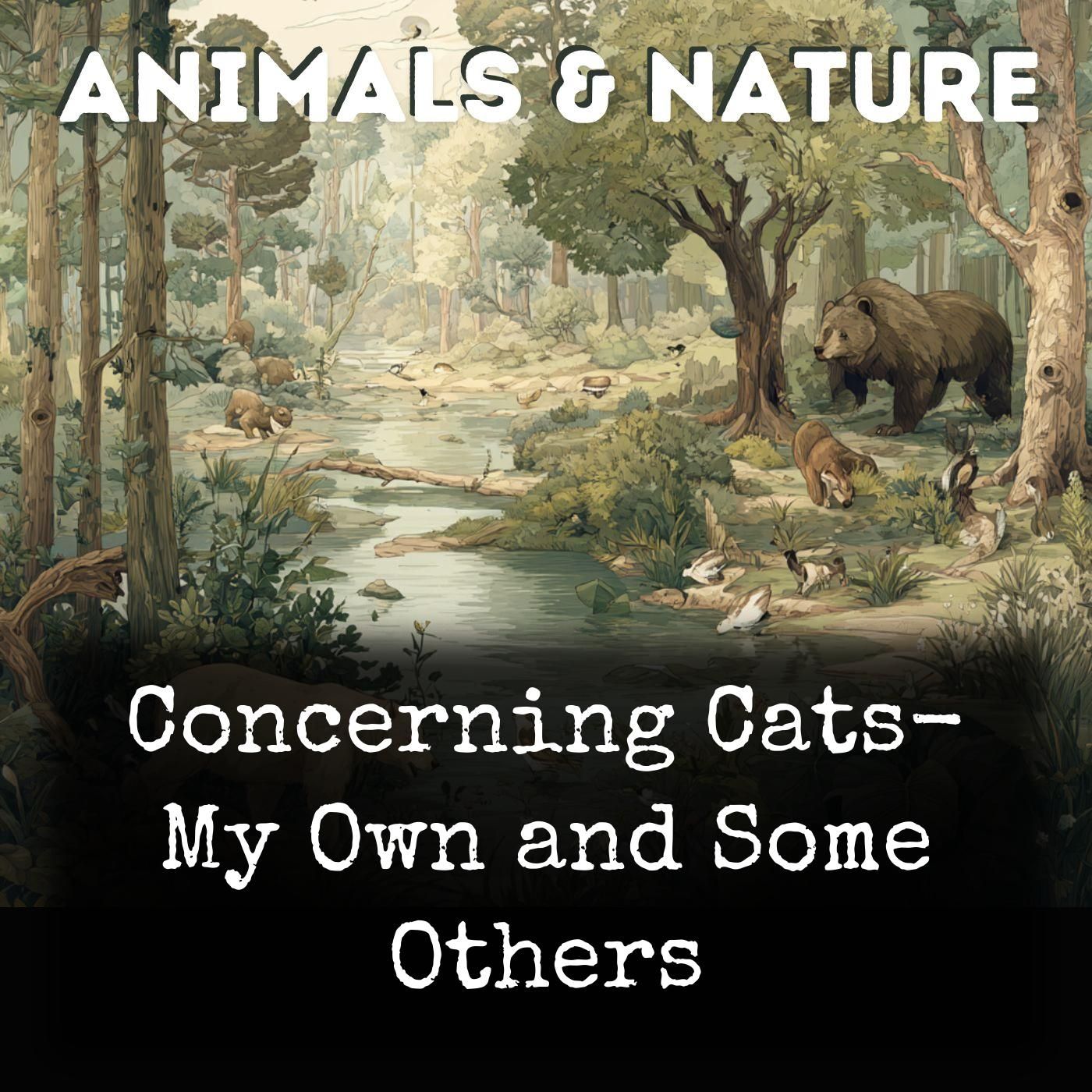 Concerning Cats-  My Own and Some Others cover art