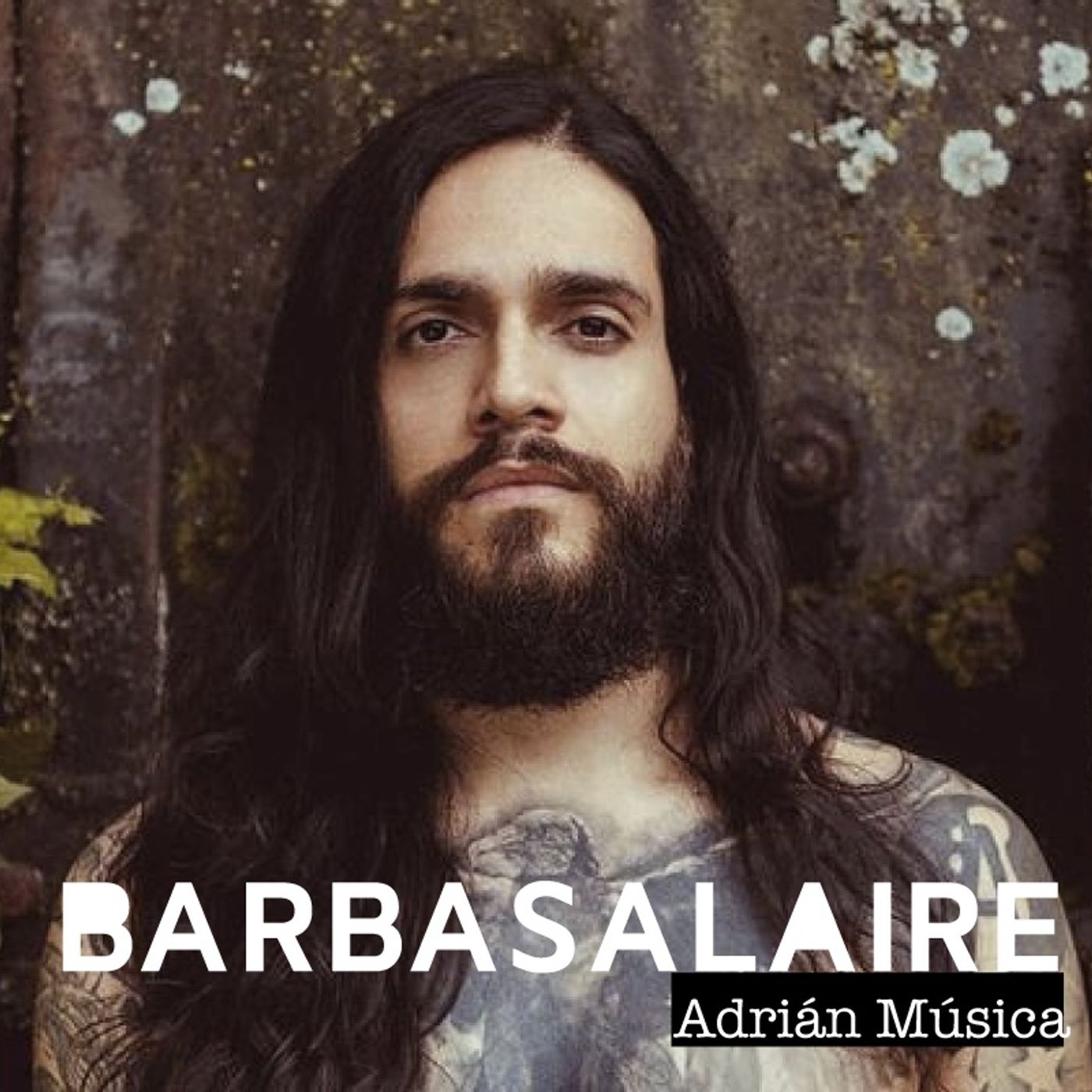 Barbas Al Aire
