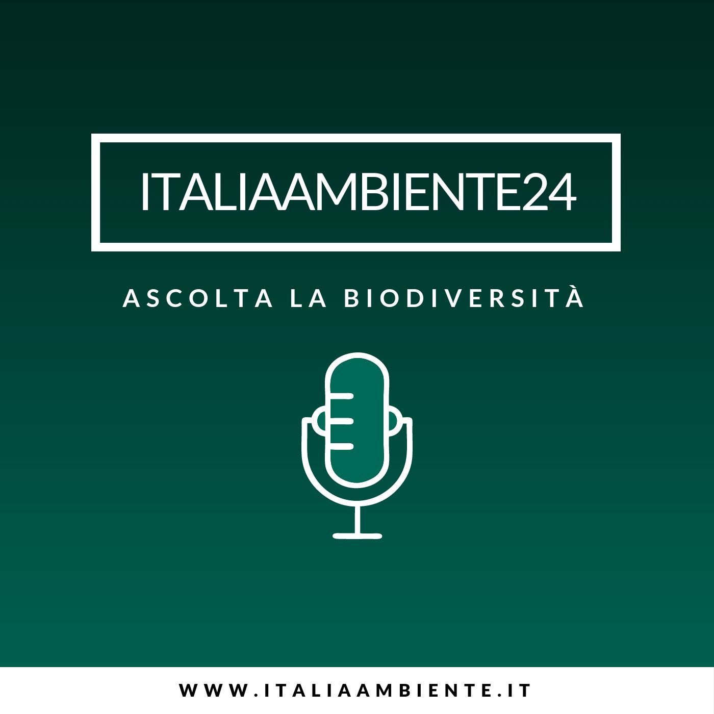 Italiaambiente24 | il GR