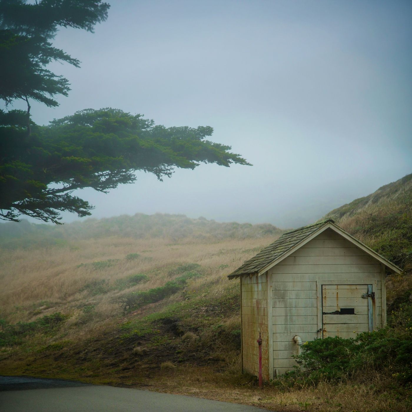 Gentle Shed Roof Rain - 10 Hours Sleep Sound episode artwork