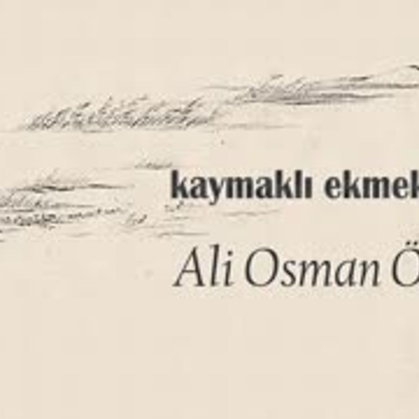 Kitap Okumaları