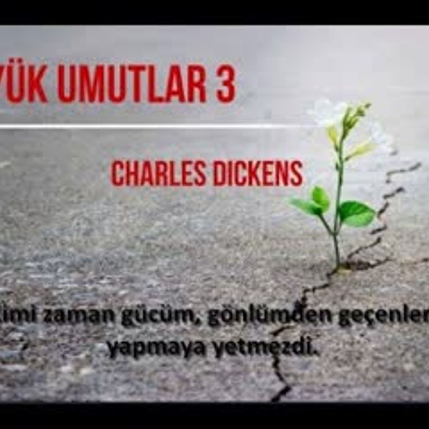 Büyük Umutlar 3.Bölüm - Charles Dickens -  (Sesli Kitap)