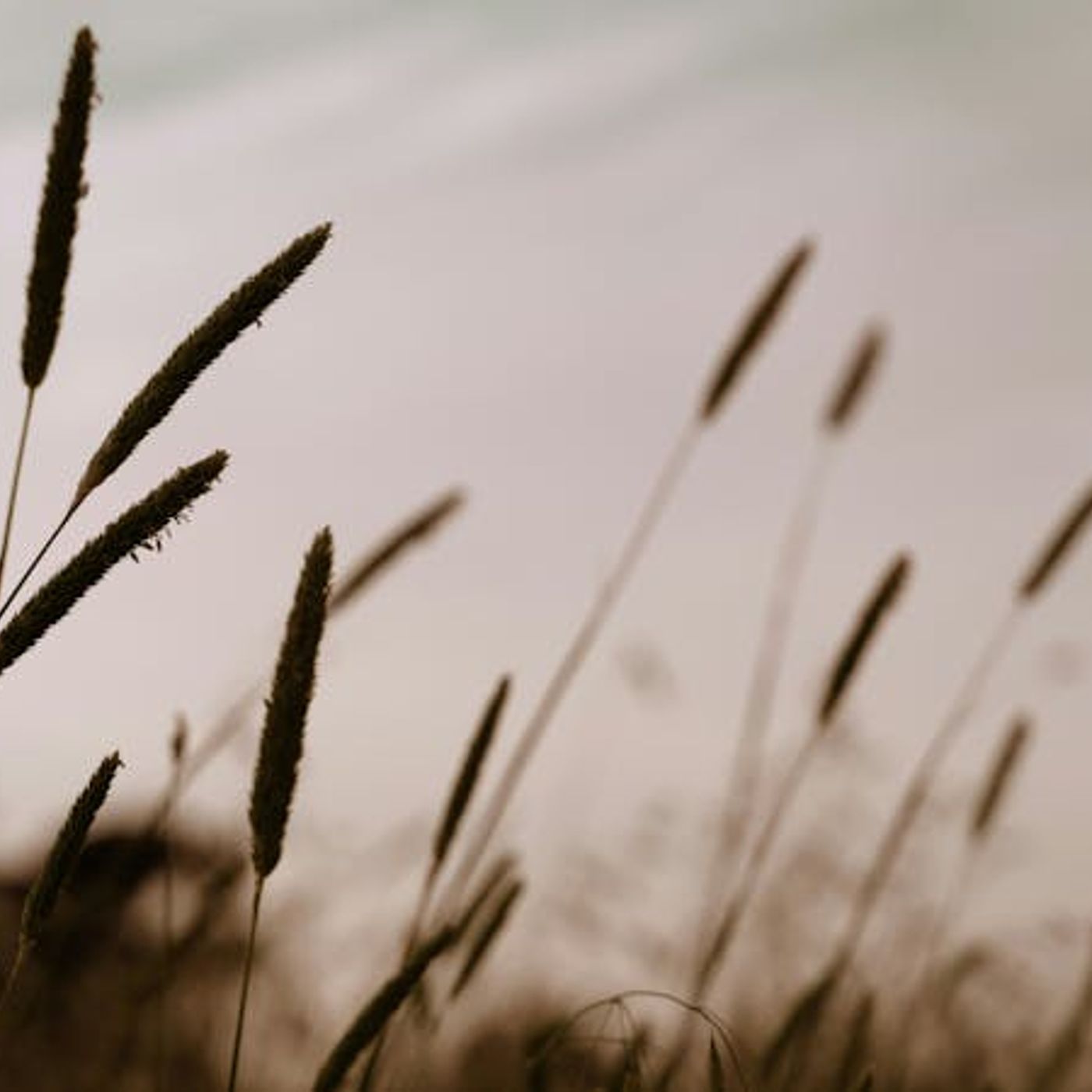 Do Christian Hedonists Deny Self-Denial?