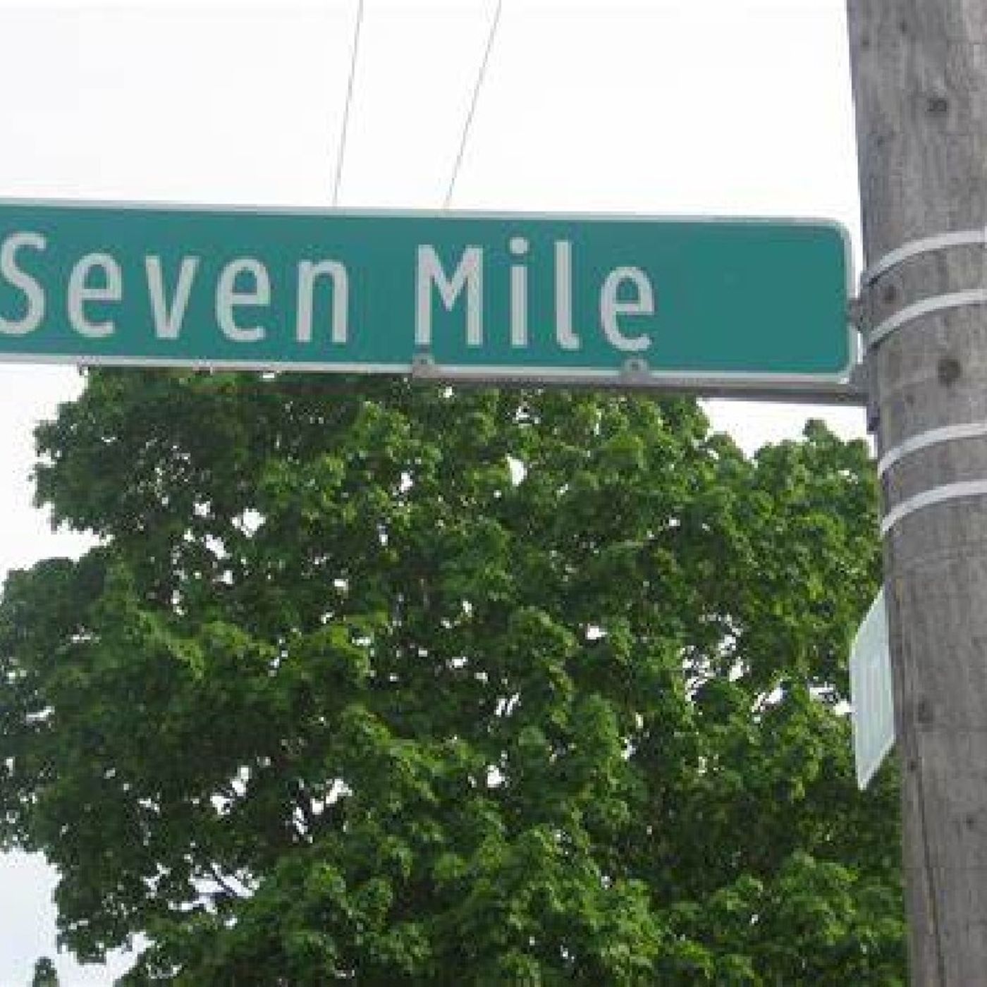 Seven mile episode artwork