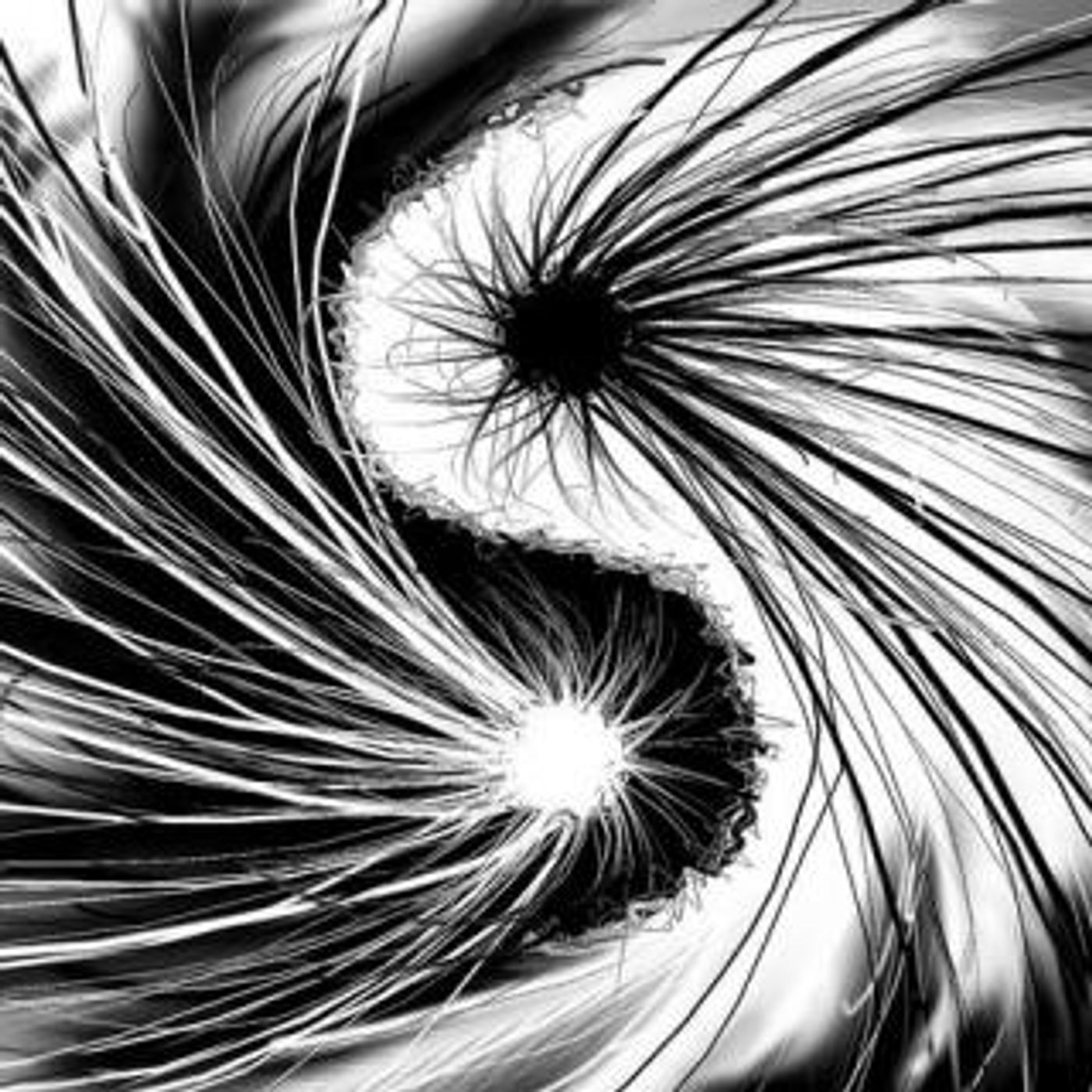 Chaos - How Do We Escape?