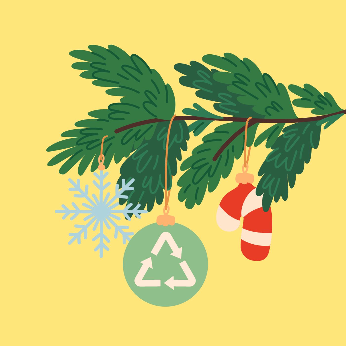 „Mamy zielone pojęcie”