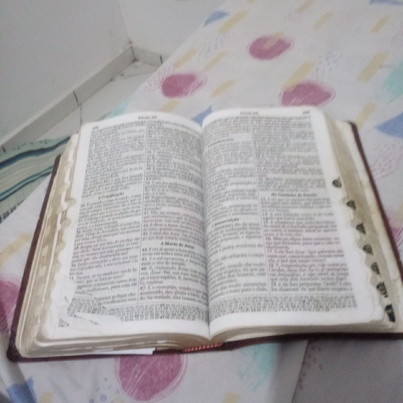 EXAMINANDO A PALAVRA