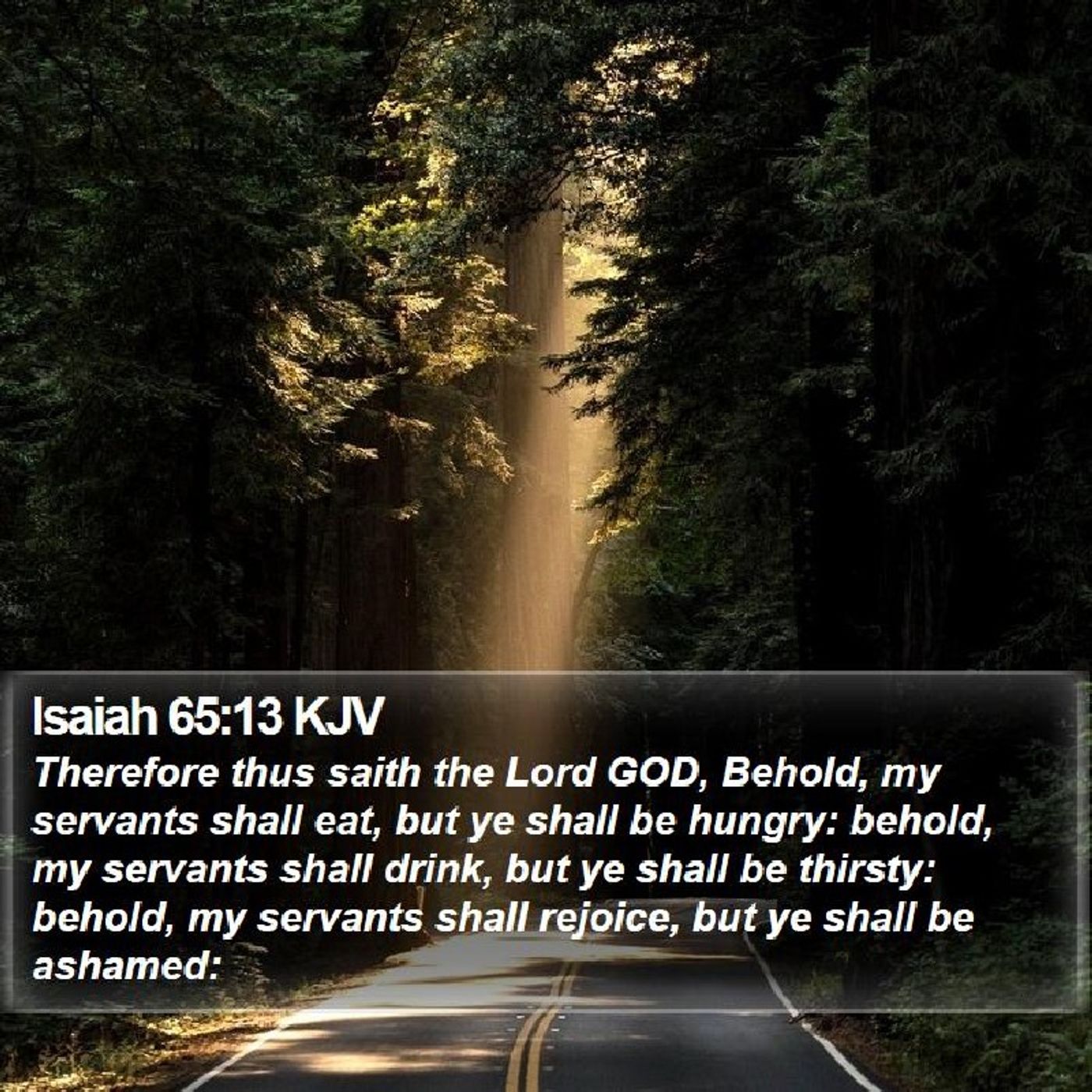 THE SERVANTS OF YAHWEH WILL EAT IN THE END DAYS!(ISAIAH CH 65 VS 13 IS HERE!TIPS AND HINTS FOR TRUE SERVANTS TO STAY SAFER!) episode artwork