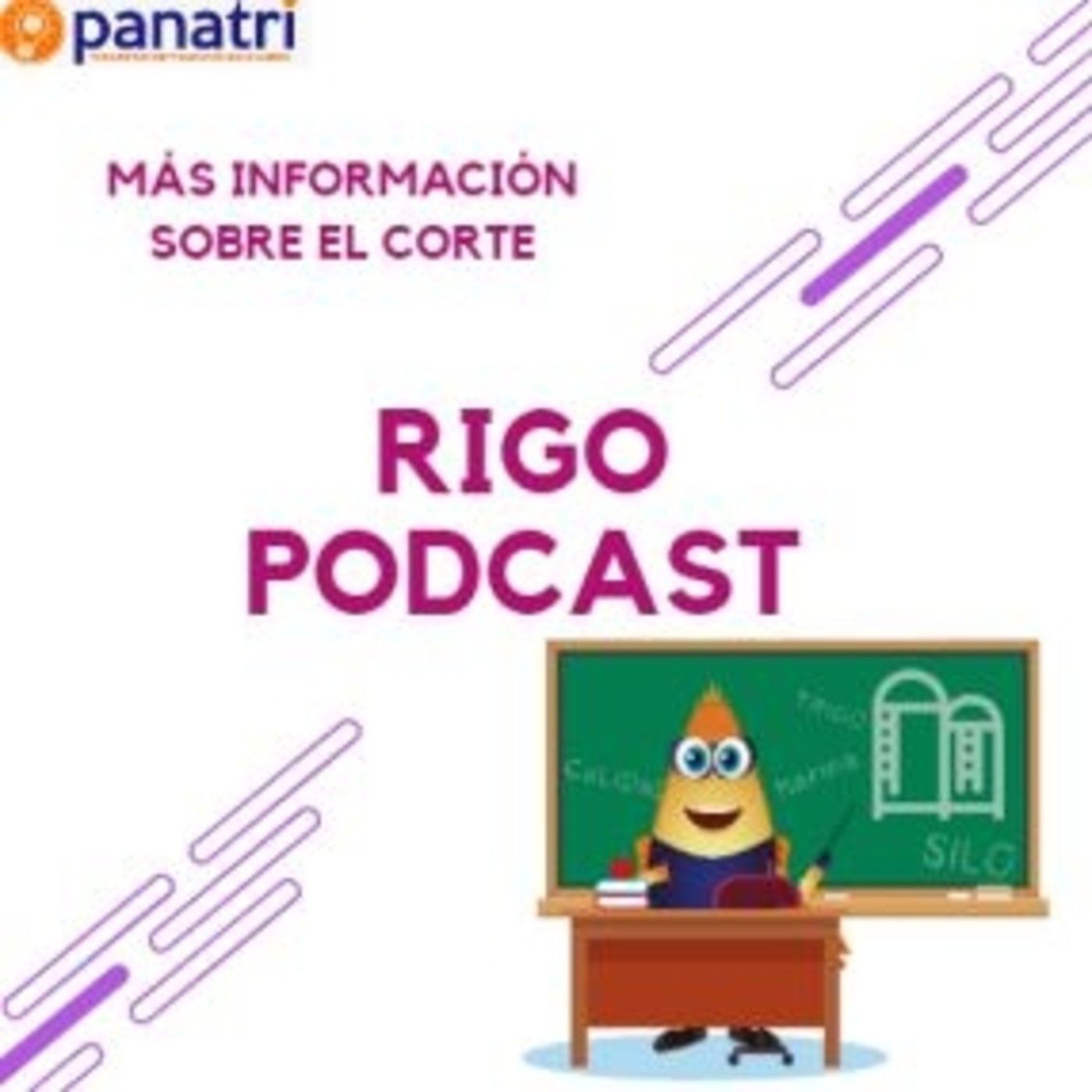 Panatri Podcast / Panadería Artesanal