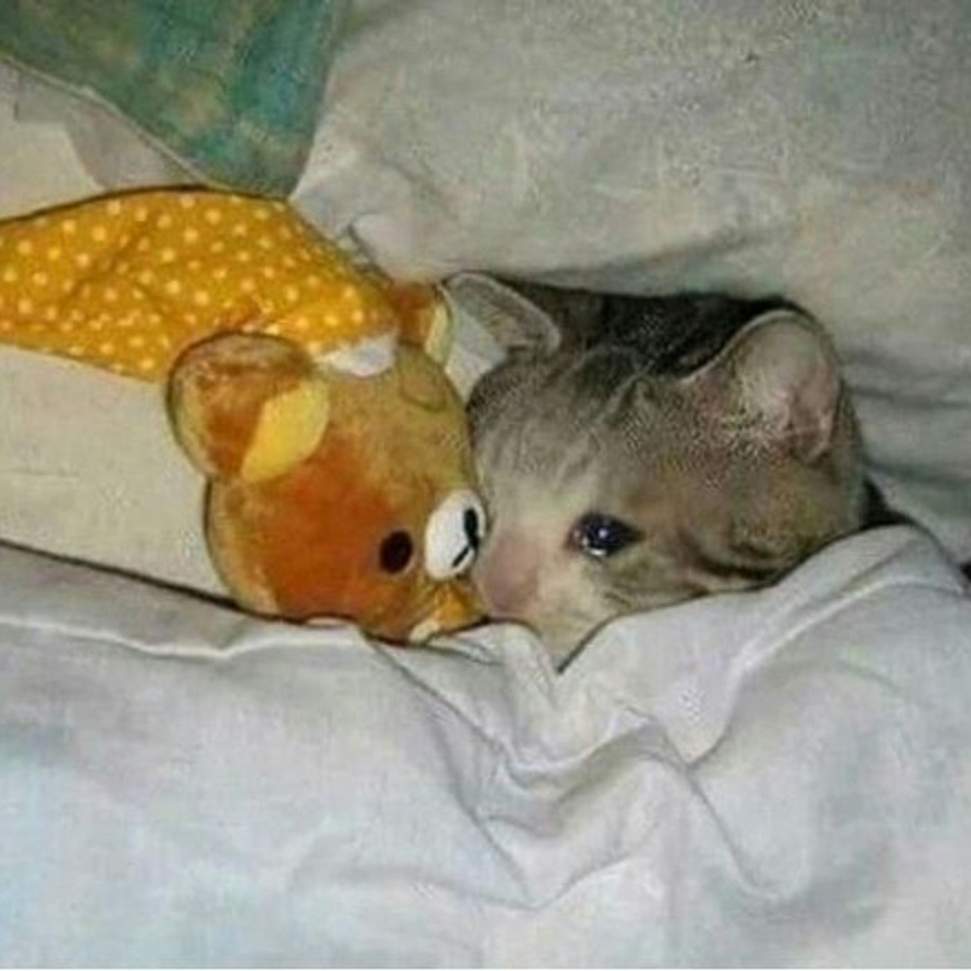 Burada olmayan ALTIN şarkılar