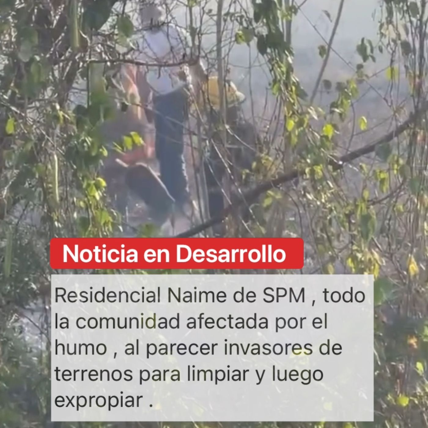 Incendio forestal en Naíme (SPM) por supuestos invasores de terreno. episode artwork