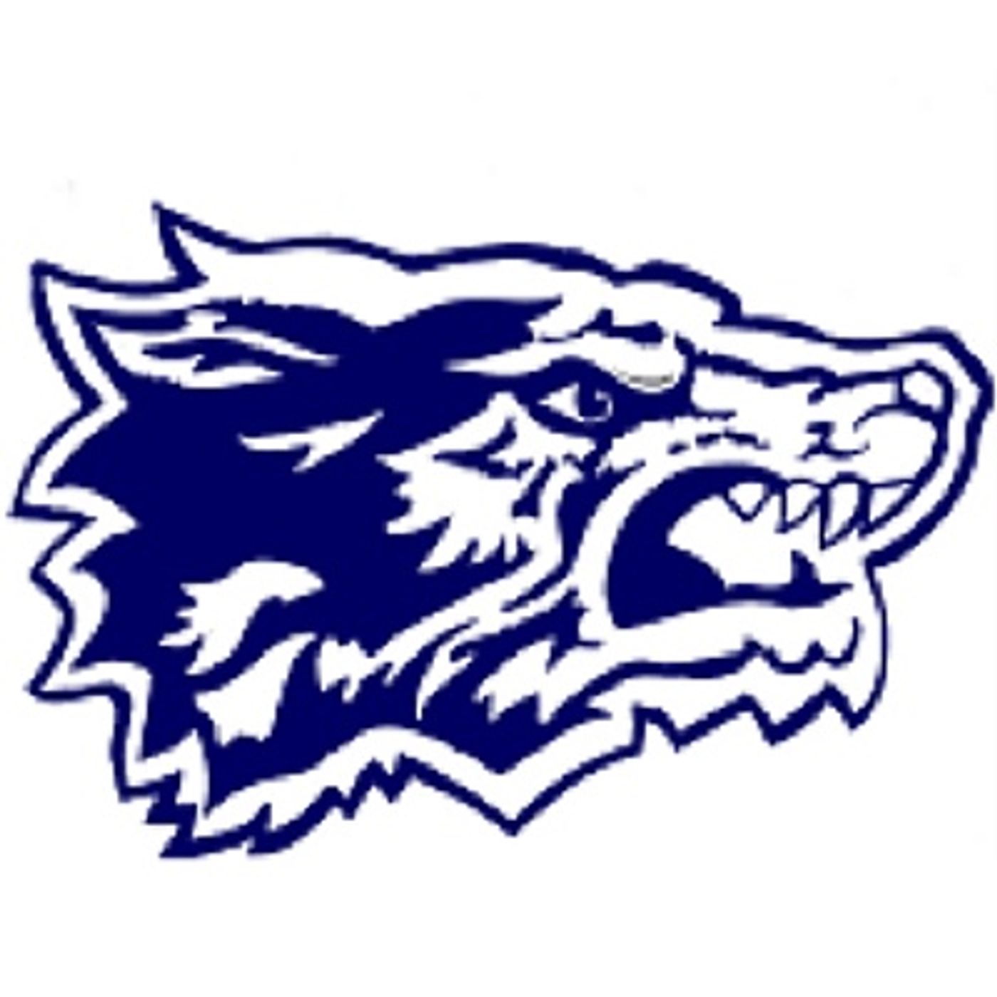 Jacsen Tucker hits two homers in Oswego East crosstown win: Tuesday’s Record Newspapers sports roundup episode artwork
