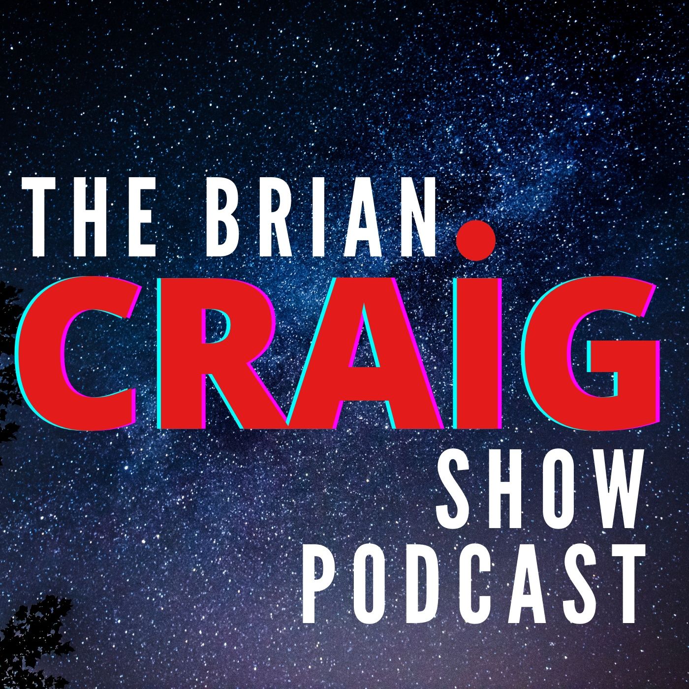 The Brian Craig Show episode artwork