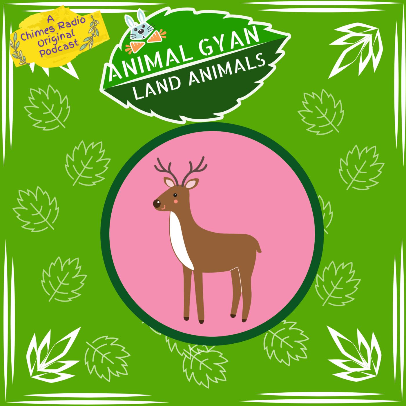 Deers