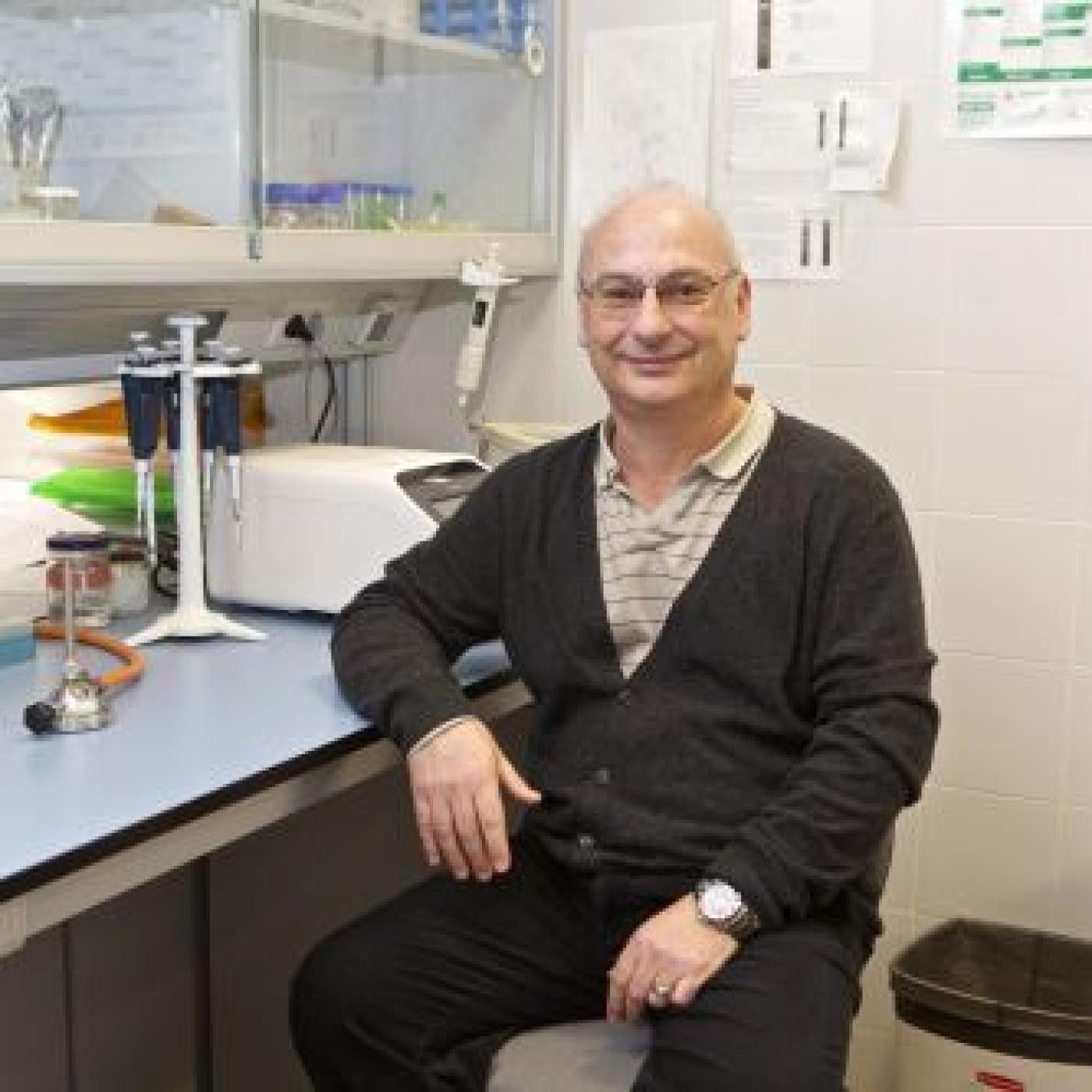 O que hai que escoitar