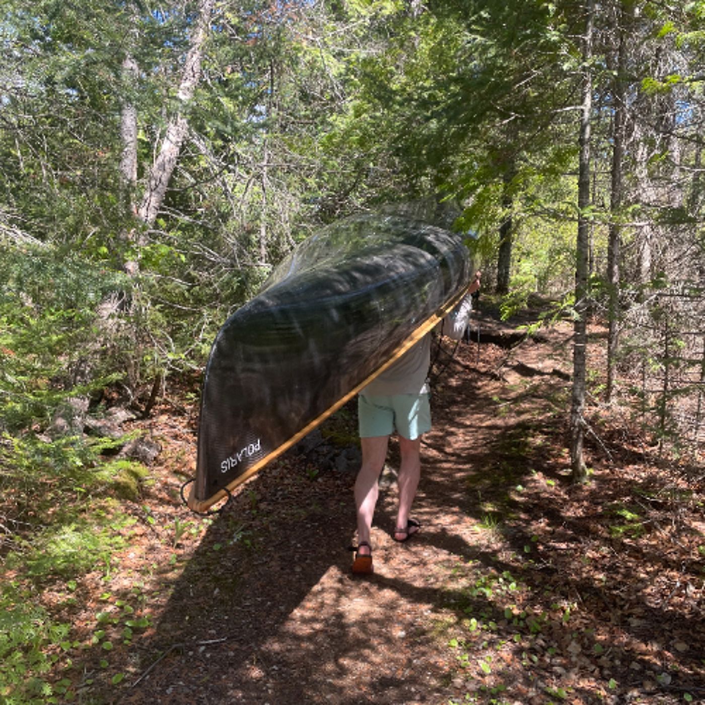 Keep it Wild – Paddles and Pines, a Friends of the Boundary Waters Youth Program