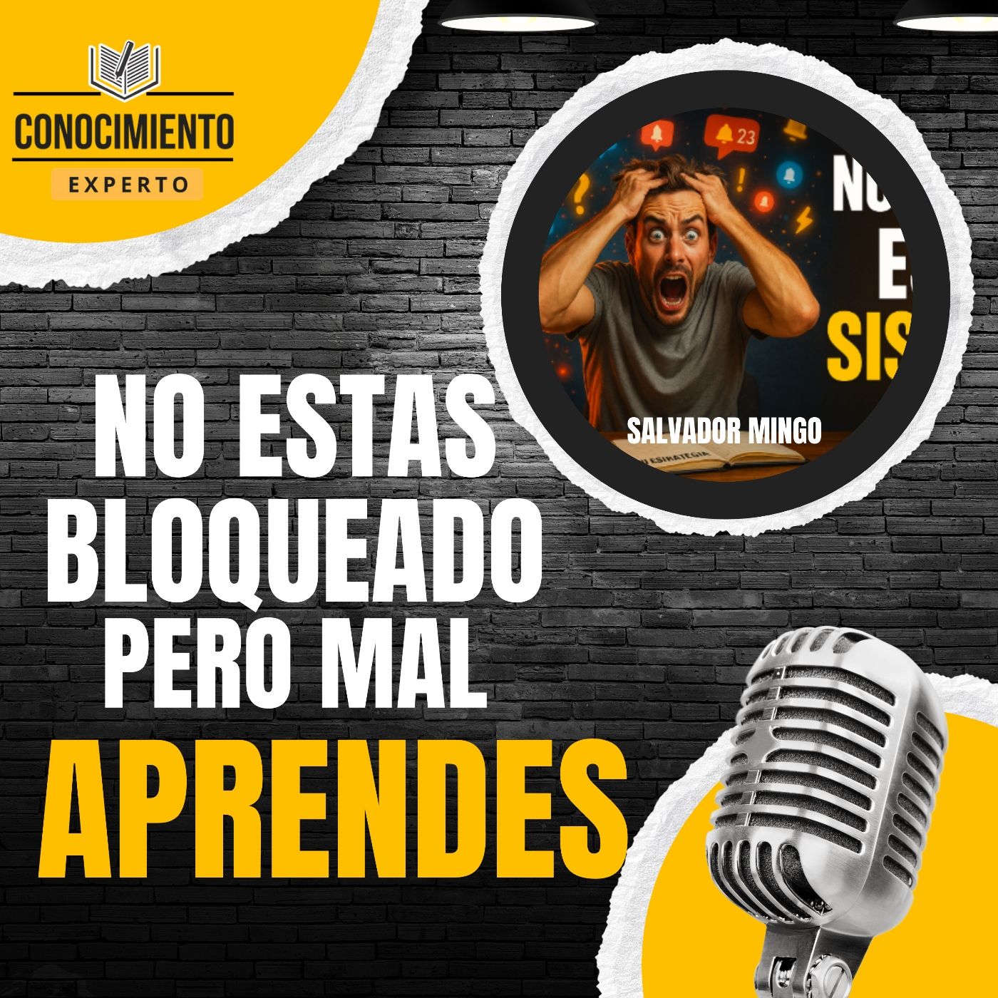 Portada de Conocimiento Experto