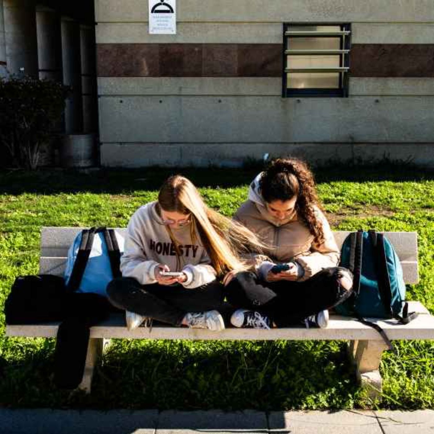 The Sunday Edition: 'Rewilding' the smartphone generation, one school's story