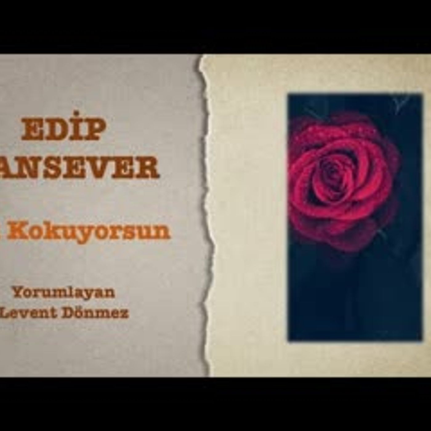 Edip Cansever - Gül Kokuyorsun episode artwork