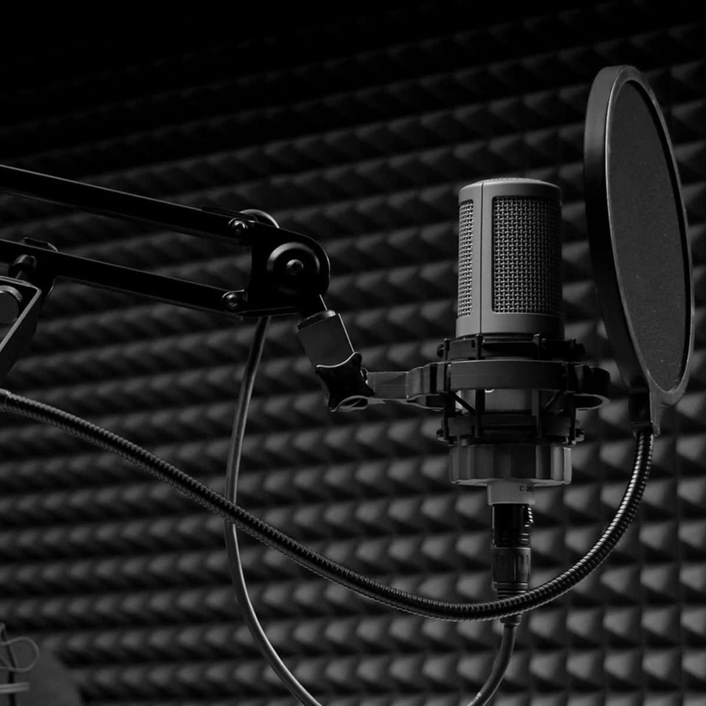 F20 - Actividad. Podcast temático