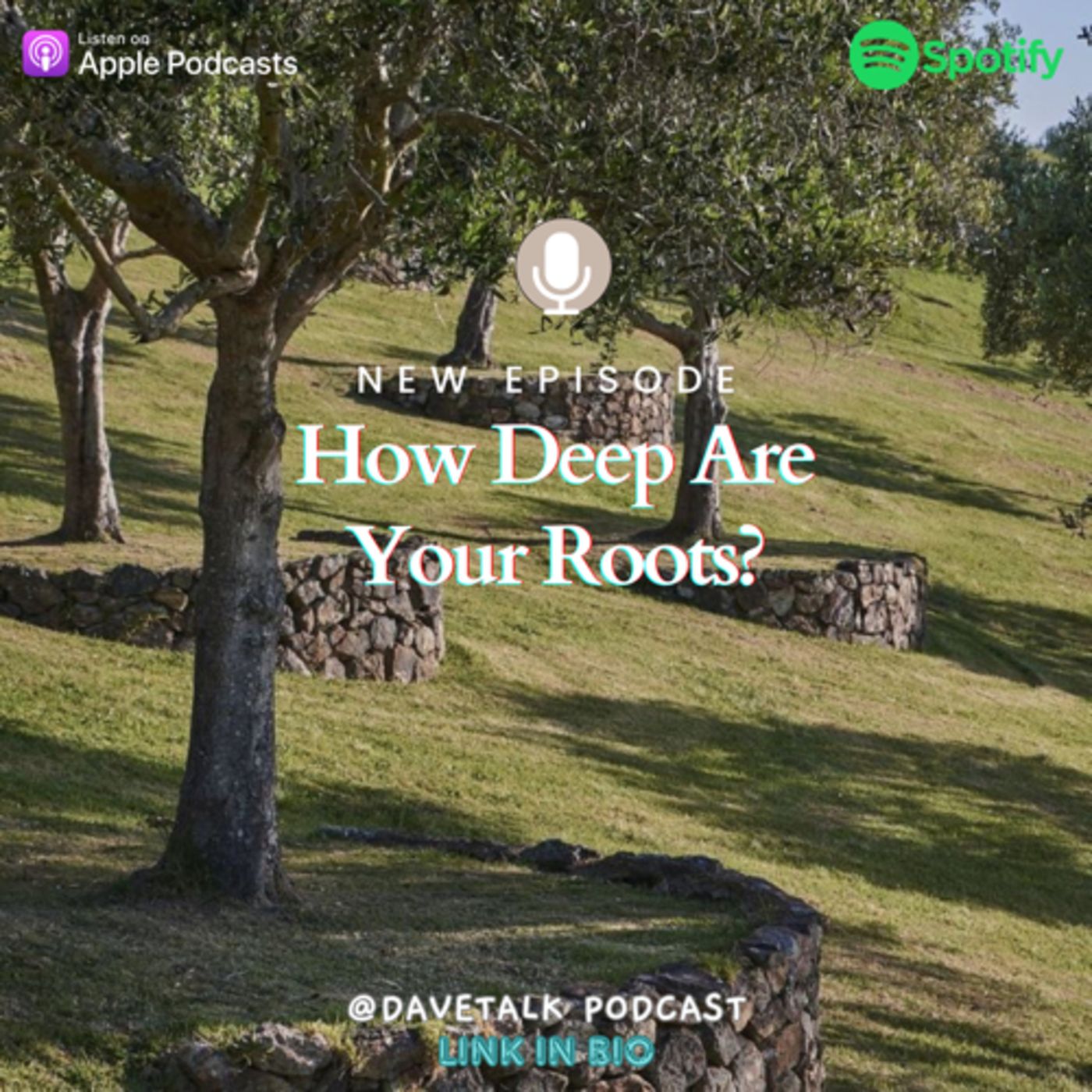 How deep are your roots? episode artwork