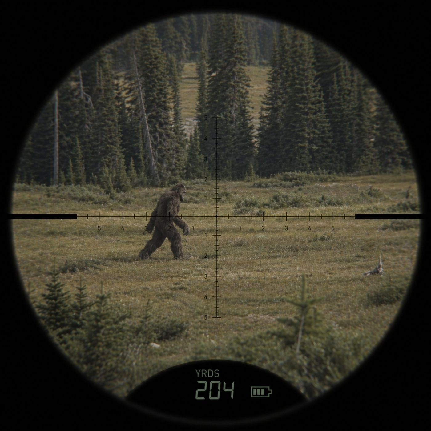 A Bow Hunter Finds Bigfoot
