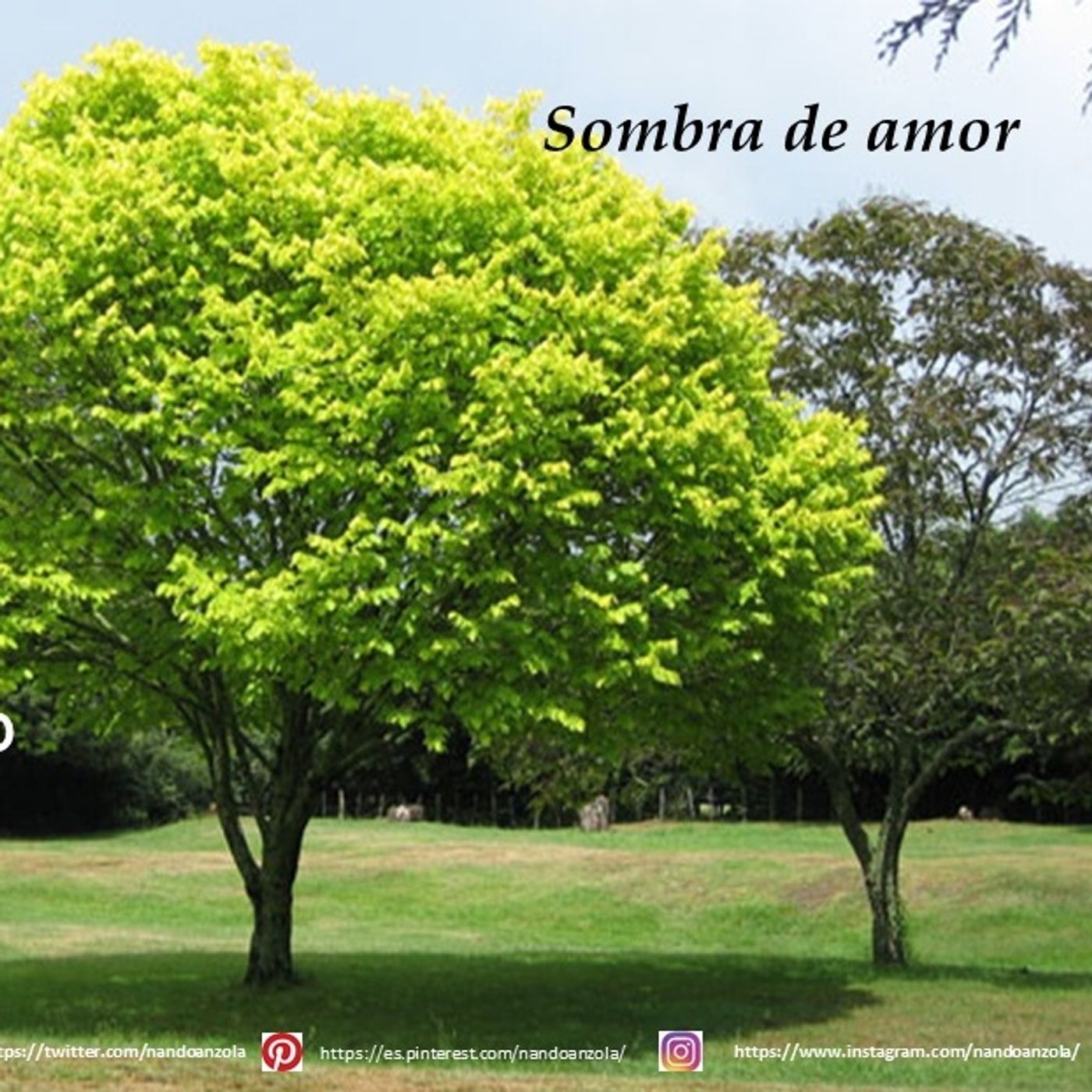 Reflexionando en DIos