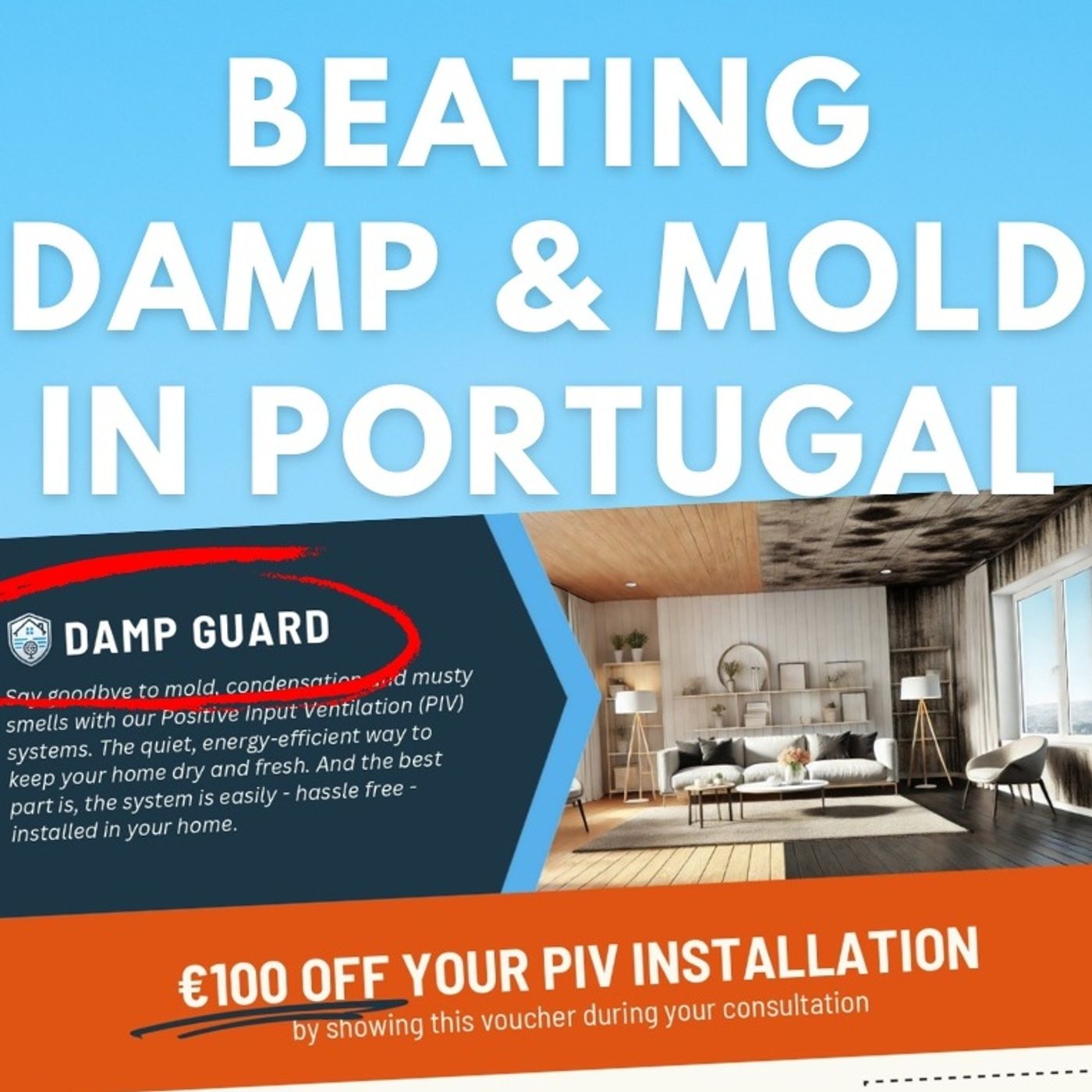 Beating Damp & Mold in Portugal with Damp Guard - The Mission, The Men & Their Migration #portugal