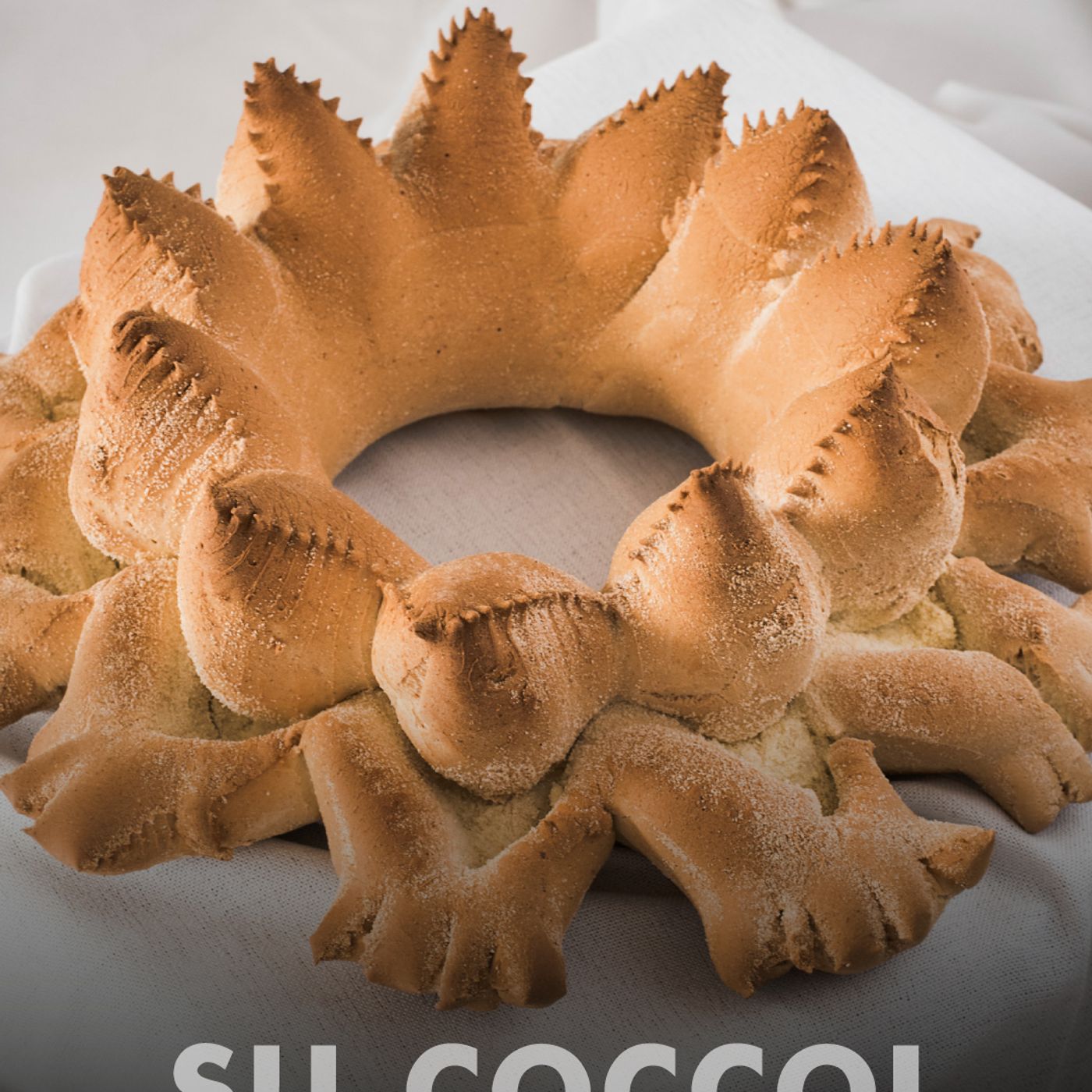 coccoyprova